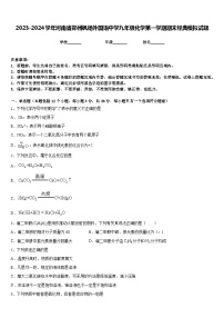 2023-2024学年河南省郑州枫杨外国语中学九年级化学第一学期期末经典模拟试题含答案