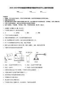 2023-2024学年河南省郑州枫杨外国语学校化学九上期末检测试题含答案