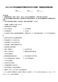 2023-2024学年河南省郑中学国际学校化学九年级第一学期期末联考模拟试题含答案