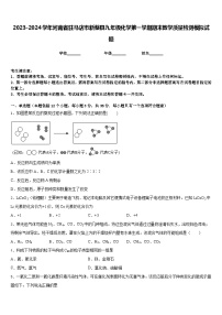 2023-2024学年河南省驻马店市新蔡县九年级化学第一学期期末教学质量检测模拟试题含答案