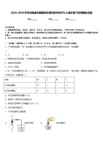 2023-2024学年河南省许昌建安区四校联考化学九上期末复习检测模拟试题含答案