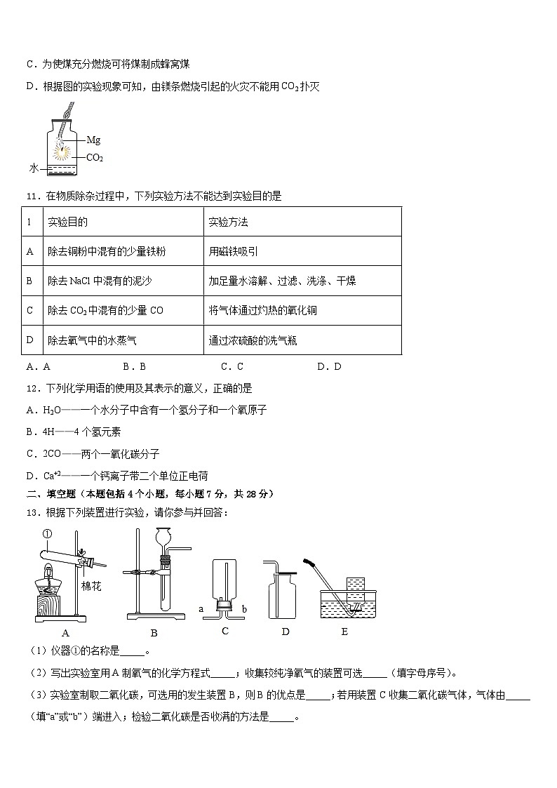 2023-2024学年河南省濮阳市化学九上期末质量检测模拟试题含答案第3页