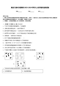 黑龙江省杜尔伯特县2023-2024学年九上化学期末监测试题含答案