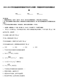 2023-2024学年河南省郑州外国语中学化学九年级第一学期期末教学质量检测模拟试题含答案