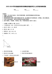 2023-2024学年河南省郑州市郑州枫杨外国语学校九上化学期末调研试题含答案