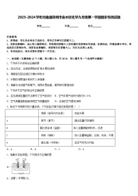 2023-2024学年河南省郑州市金水区化学九年级第一学期期末检测试题含答案