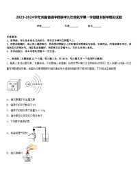 2023-2024学年河南省镇平县联考九年级化学第一学期期末联考模拟试题含答案