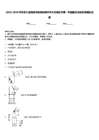 2023-2024学年浙江省慈溪市附海初级中学九年级化学第一学期期末质量检测模拟试题含答案