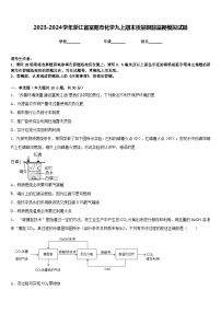 2023-2024学年浙江省富阳市化学九上期末质量跟踪监视模拟试题含答案