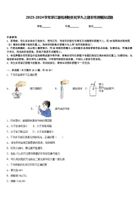 2023-2024学年浙江省杭州地区化学九上期末检测模拟试题含答案