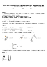 2023-2024学年浙江省杭州实验外国语学校化学九年级第一学期期末考试模拟试题含答案