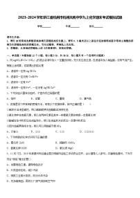 2023-2024学年浙江省杭州市杭州风帆中学九上化学期末考试模拟试题含答案