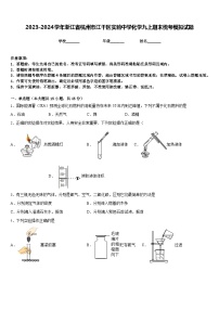 2023-2024学年浙江省杭州市江干区实验中学化学九上期末统考模拟试题含答案