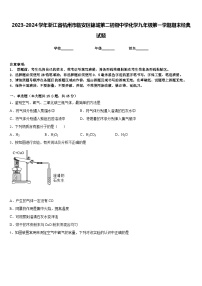 2023-2024学年浙江省杭州市临安区锦城第二初级中学化学九年级第一学期期末经典试题含答案