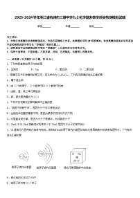 2023-2024学年浙江省杭州市三墩中学九上化学期末教学质量检测模拟试题含答案