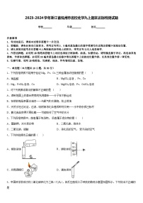 2023-2024学年浙江省杭州市名校化学九上期末达标检测试题含答案