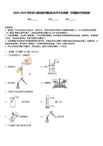 2023-2024学年浙江省杭州市萧山区化学九年级第一学期期末检测试题含答案