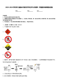 2023-2024学年浙江省温岭市新河中学化学九年级第一学期期末调研模拟试题含答案