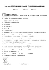 2023-2024学年浙江省新昌县化学九年级第一学期期末质量跟踪监视模拟试题含答案