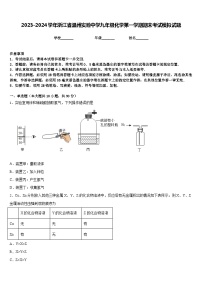 2023-2024学年浙江省温州实验中学九年级化学第一学期期末考试模拟试题含答案