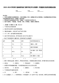 2023-2024学年浙江省嵊州市崇仁镇中学化学九年级第一学期期末质量检测模拟试题含答案