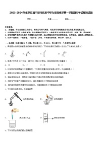 2023-2024学年浙江省宁波市东恩中学九年级化学第一学期期末考试模拟试题含答案