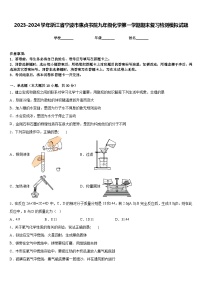 2023-2024学年浙江省宁波市惠贞书院九年级化学第一学期期末复习检测模拟试题含答案