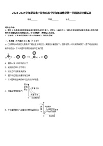 2023-2024学年浙江省宁波市东恩中学九年级化学第一学期期末经典试题含答案