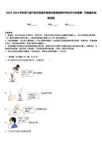 2023-2024学年浙江省宁波市慈溪市慈溪市附海初级中学化学九年级第一学期期末调研试题含答案