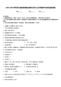 2023-2024学年浙江省杭州市萧山区厢片五校九上化学期末学业质量监测试题含答案