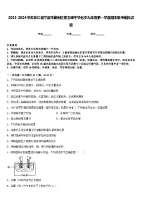 2023-2024学年浙江省宁波市鄞州区董玉娣中学化学九年级第一学期期末联考模拟试题含答案