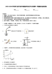 2023-2024学年浙江省宁波市外国语学校化学九年级第一学期期末监测试题含答案