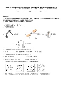 2023-2024学年浙江省宁波市镇海区仁爱中学化学九年级第一学期期末统考试题含答案