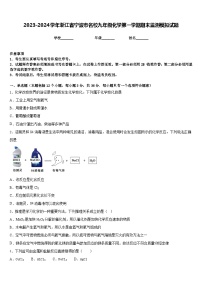 2023-2024学年浙江省宁波市名校九年级化学第一学期期末监测模拟试题含答案