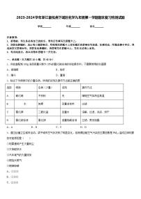 2023-2024学年浙江省杭州下城区化学九年级第一学期期末复习检测试题含答案