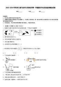 2023-2024学年浙江省宁波市九年级化学第一学期期末学业质量监测模拟试题含答案