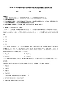 2023-2024学年浙江省宁波市国际学校九上化学期末达标测试试题含答案