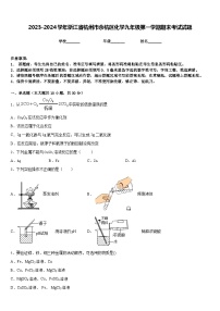 2023-2024学年浙江省杭州市余杭区化学九年级第一学期期末考试试题含答案