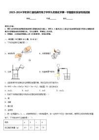 2023-2024学年浙江省杭州市育才中学九年级化学第一学期期末质量检测试题含答案