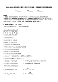 2023-2024学年海北市重点中学化学九年级第一学期期末质量检测模拟试题含答案