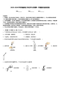 2023-2024学年海南海口市化学九年级第一学期期末监测试题含答案