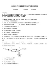 2023-2024学年海南省保亭县化学九上期末调研试题含答案