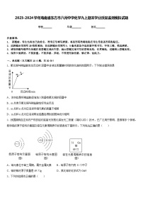 2023-2024学年海南省东方市八所中学化学九上期末学业质量监测模拟试题含答案