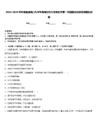 2023-2024学年海南省海口九中学海甸分校九年级化学第一学期期末达标检测模拟试题含答案