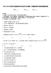 2023-2024学年浙江省湖州市吴兴区化学九年级第一学期期末教学质量检测模拟试题含答案