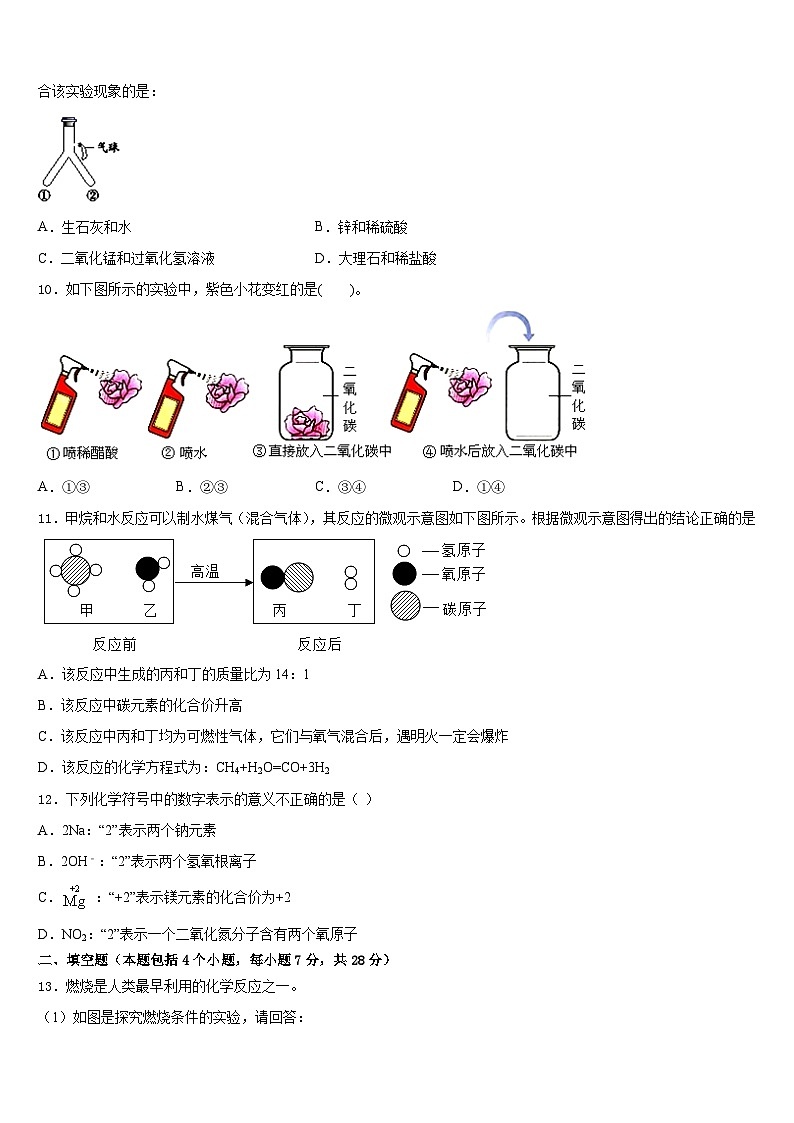 2023-2024学年浙江省衢州市初三数九上化学期末质量检测试题含答案第3页