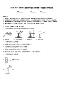 2023-2024学年浙江省衢州市化学九年级第一学期期末调研试题含答案