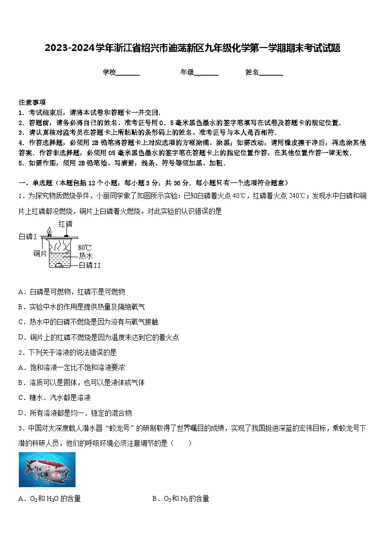2023-2024学年浙江省绍兴市迪荡新区九年级化学第一学期期末考试试题含答案第1页