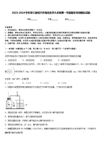 2023-2024学年浙江省绍兴市海亮化学九年级第一学期期末检测模拟试题含答案