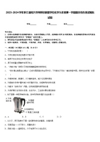 2023-2024学年浙江省绍兴市柯桥区联盟学校化学九年级第一学期期末综合测试模拟试题含答案